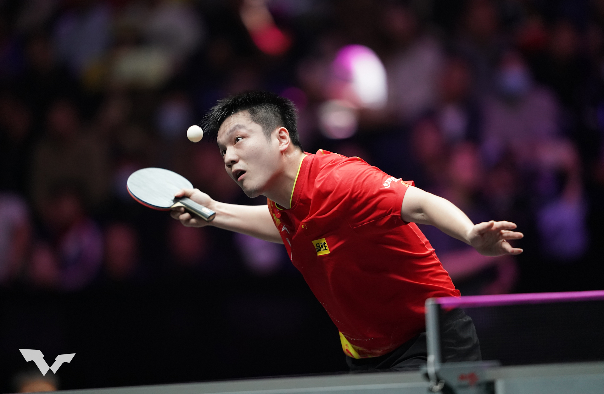 Fan Zhendong Mengakhiri Satu Tahun Lagi Sebagai No.1 Dunia
